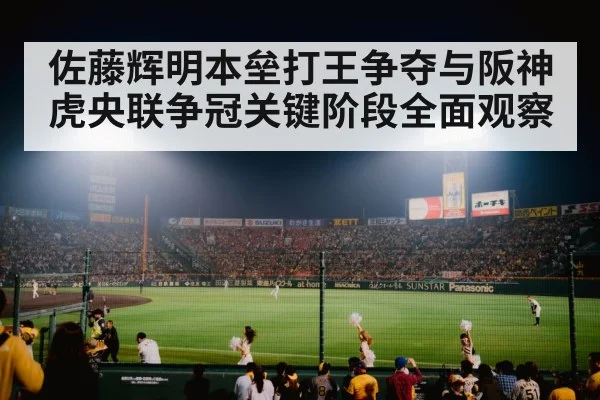 baseball stadium night lights